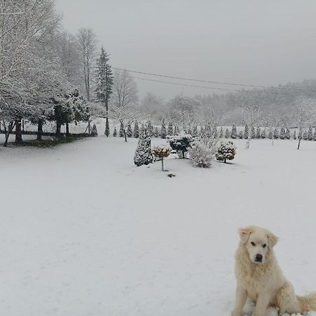 U Malgorzaty Villa Wojtkowa Buitenkant foto
