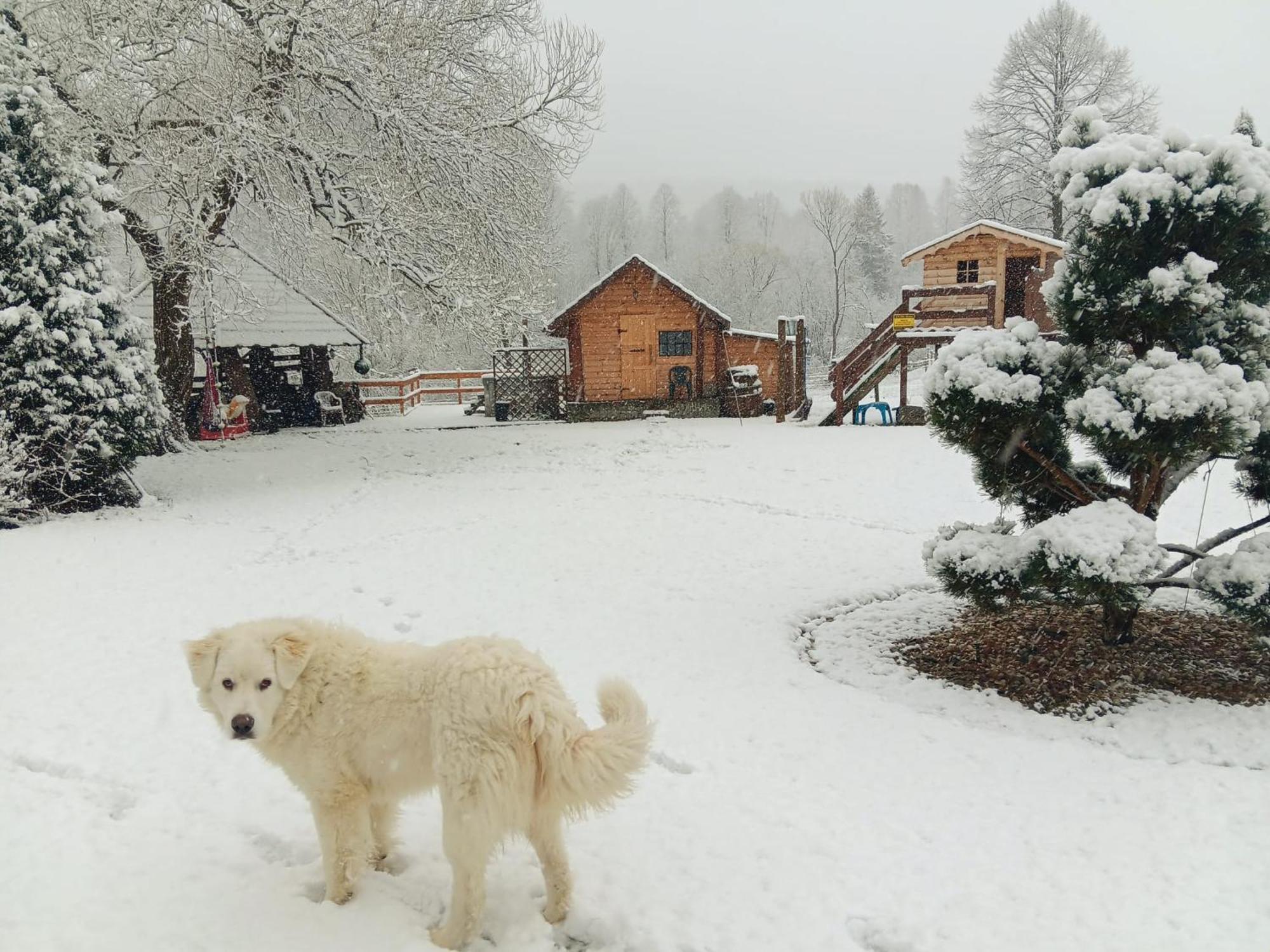 U Malgorzaty Villa Wojtkowa Buitenkant foto